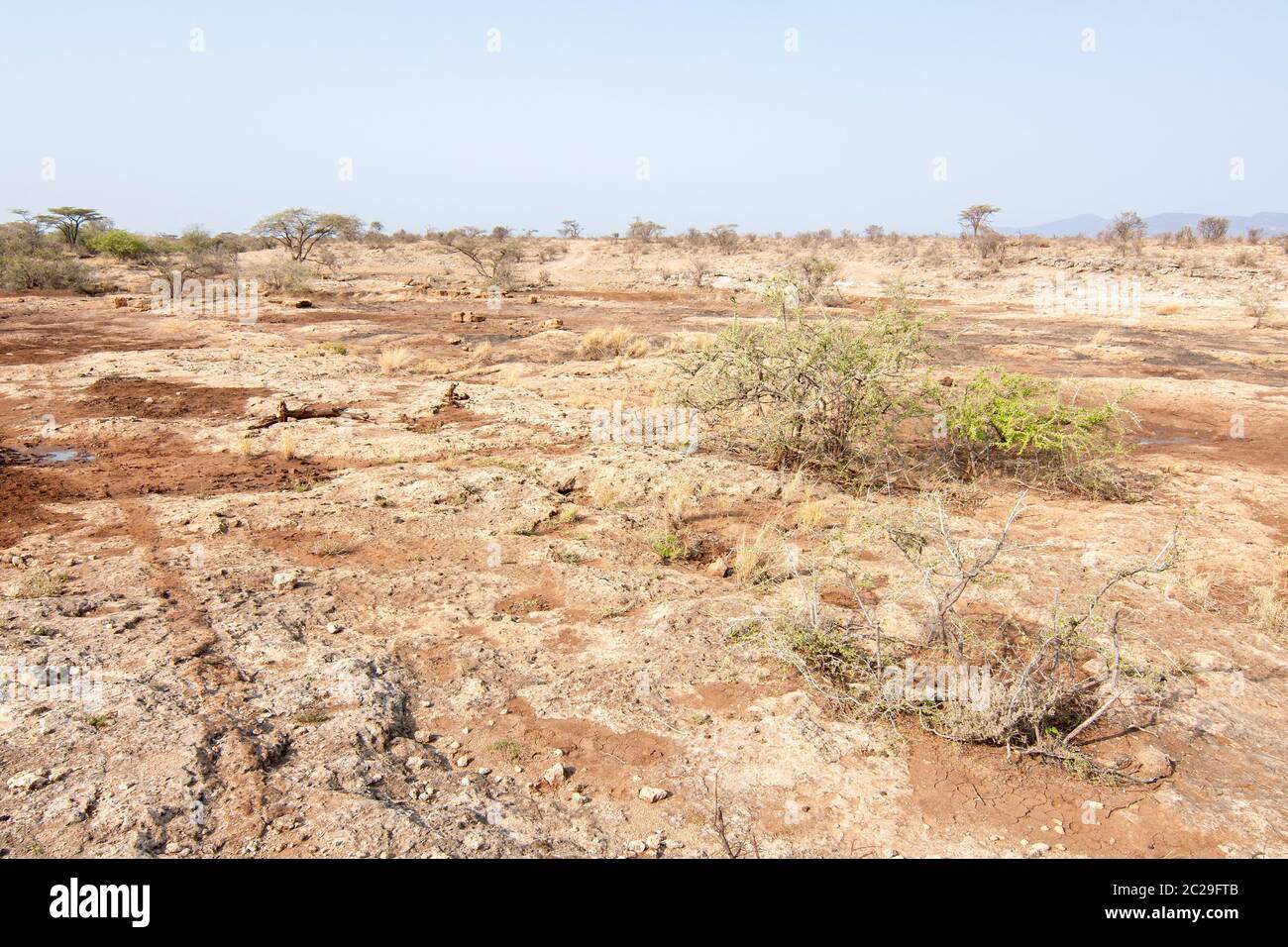 Paysage désertique dans la savane dans la réserve nationale de Samburu. Kenya. Afrique. Banque D'Images