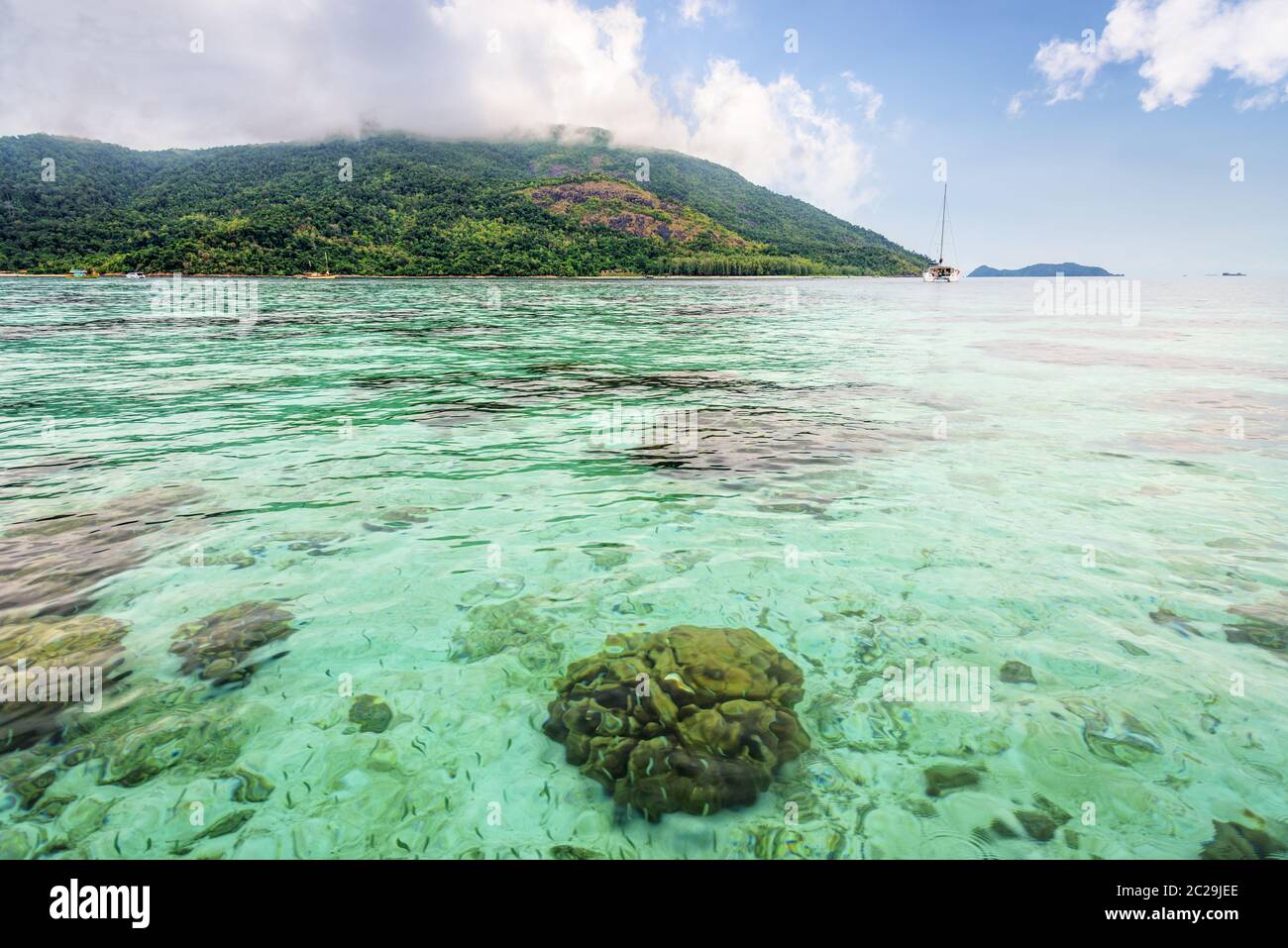 La mer verte et claire donne sur les récifs coralliens de l'île de Koh Lipe, en Thaïlande Banque D'Images