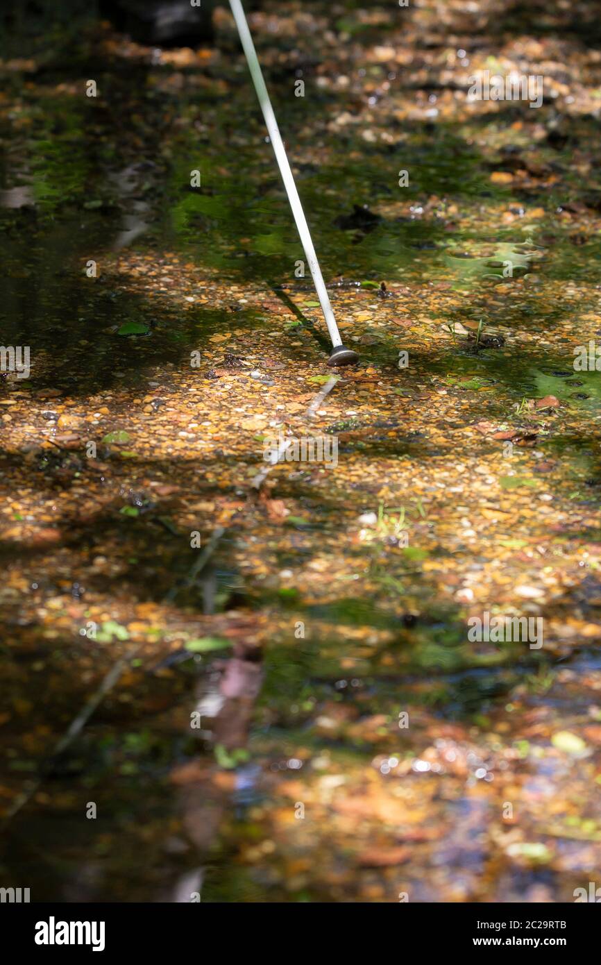 La personne aveugle pointe de canne dans l'eau peu profonde sur une passerelle Banque D'Images