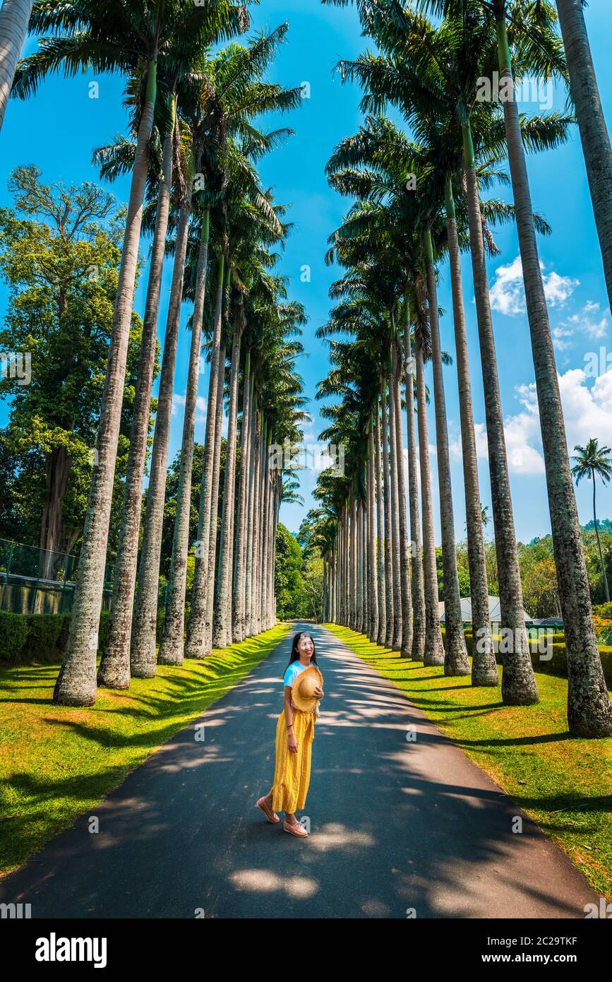 Femme explorant la palmeraie des jardins botaniques royaux de Kandy au Sri Lanka. Paysage tropical asiatique paysage Voyage Banque D'Images