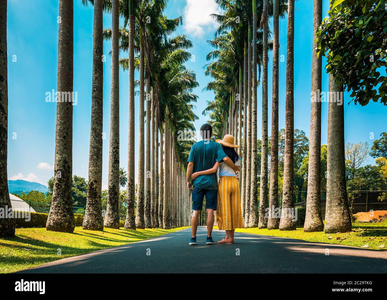Couple visitant la palmeraie des jardins botaniques royaux de Kandy au Sri Lanka. Paysage tropical asiatique paysage Voyage Banque D'Images