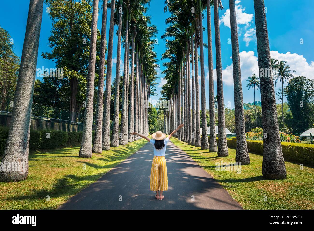 Femme explorant la palmeraie des jardins botaniques royaux de Kandy au Sri Lanka. Paysage tropical asiatique paysage Voyage Banque D'Images