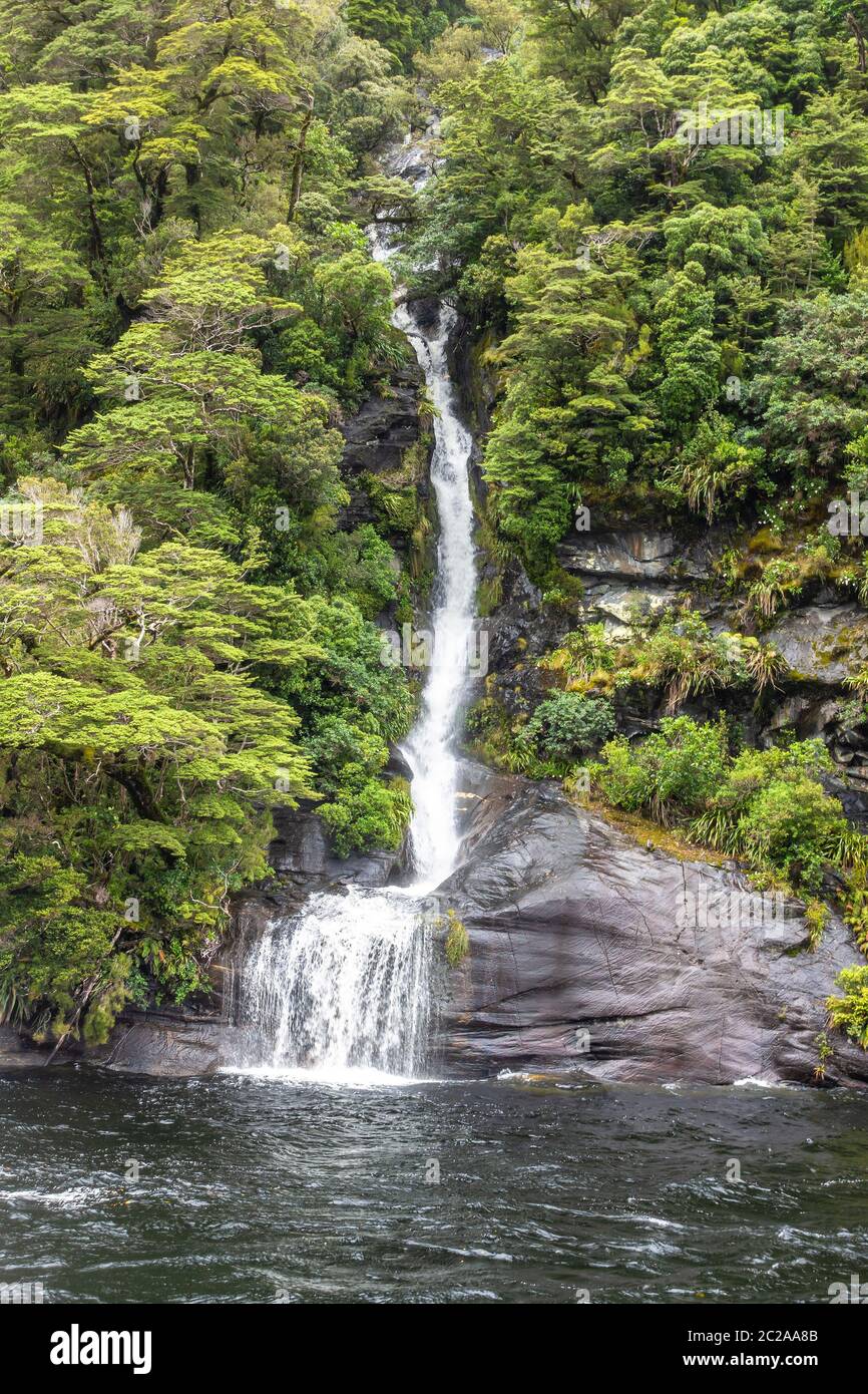 Cascade au parc national de Doubtful Sound Fiordland, Nouvelle-Zélande Banque D'Images