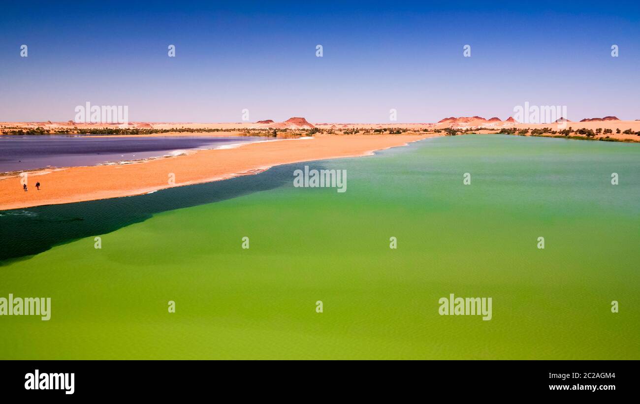 Vue panoramique sur le groupe de lacs Katam aka Baramar des lacs d'Ounianga kebir à Ennedi, Tchad Banque D'Images