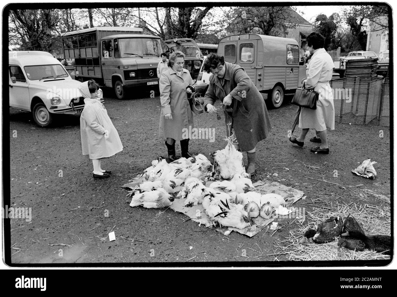 Saint-Aout Market Day. Saint-Août est une commune française, située dans le département de l'Indre et la région Centre. 1988 commerçants et clients dans cette ville rurale. Banque D'Images