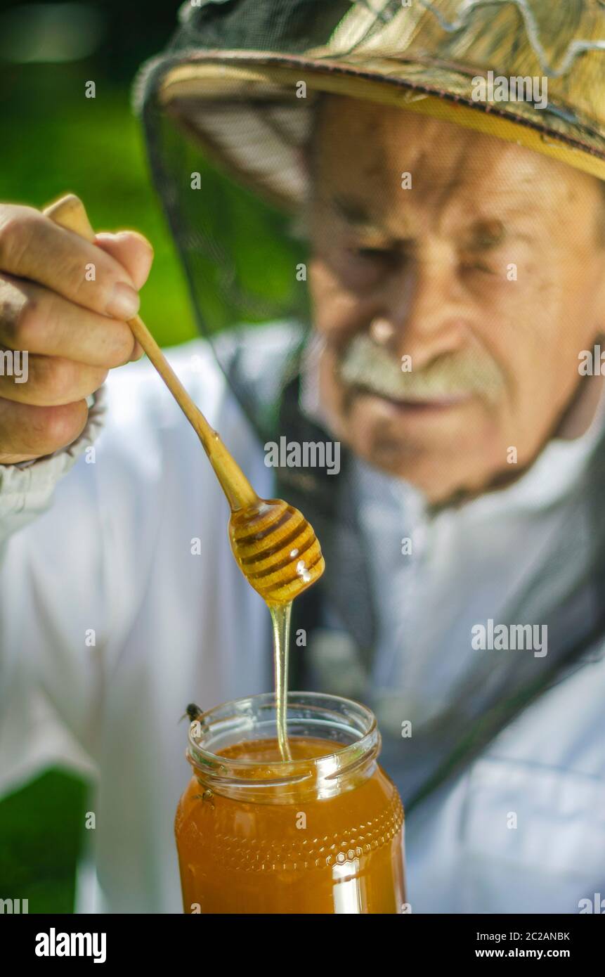 Contrôle de son miel apiculteur senior dans le rucher Banque D'Images