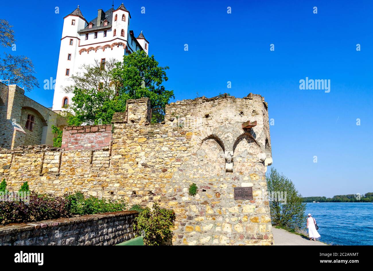 Château électoral à Eltville dans Rheingau, une région de la ville de vin mousseux, vin et rose d'Eltville sur le Rhin dans le Rheingau-Taunus à Hesse, Allemagne Banque D'Images