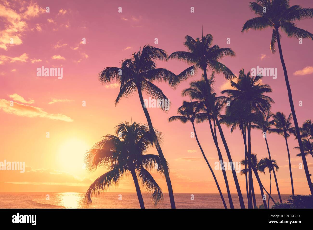 Skt tropical au coucher du soleil avec palmiers Banque D'Images