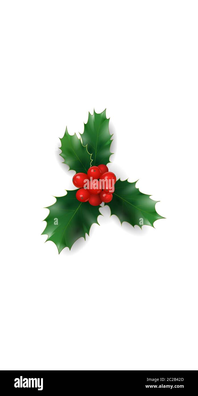 Couverture 3D réaliste pour les réseaux sociaux de Noël rouge houx. Met en évidence le modèle d'arrière-plan blanc isolé des histoires. Vecteur de concept de décoration de la nouvelle année Illustration de Vecteur