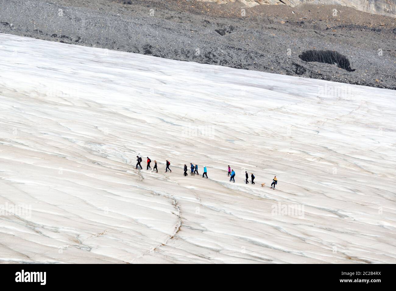 Ligne de touristes marchant sur le glacier Athabasca, dans le champ de glace de Columbia, dans le parc national Jasper, dans les montagnes Rocheuses, en Alberta, au Canada Banque D'Images