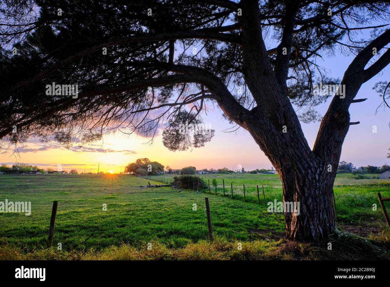 Coucher de soleil tranquille à la campagne. Palmela, Portugal Banque D'Images