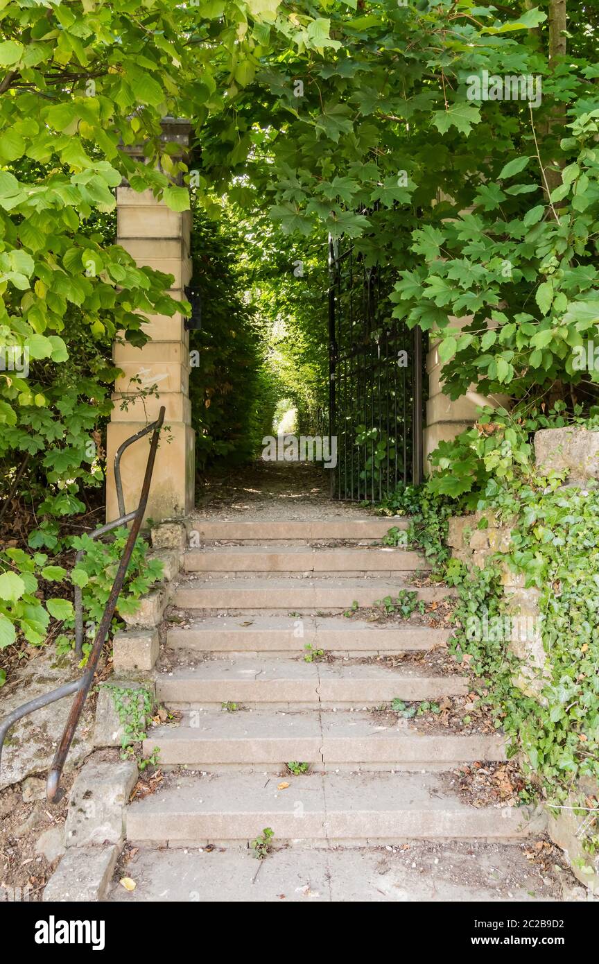 Escalier en pierre menant à une longue allée couverte, dans un parc verdoyant Banque D'Images