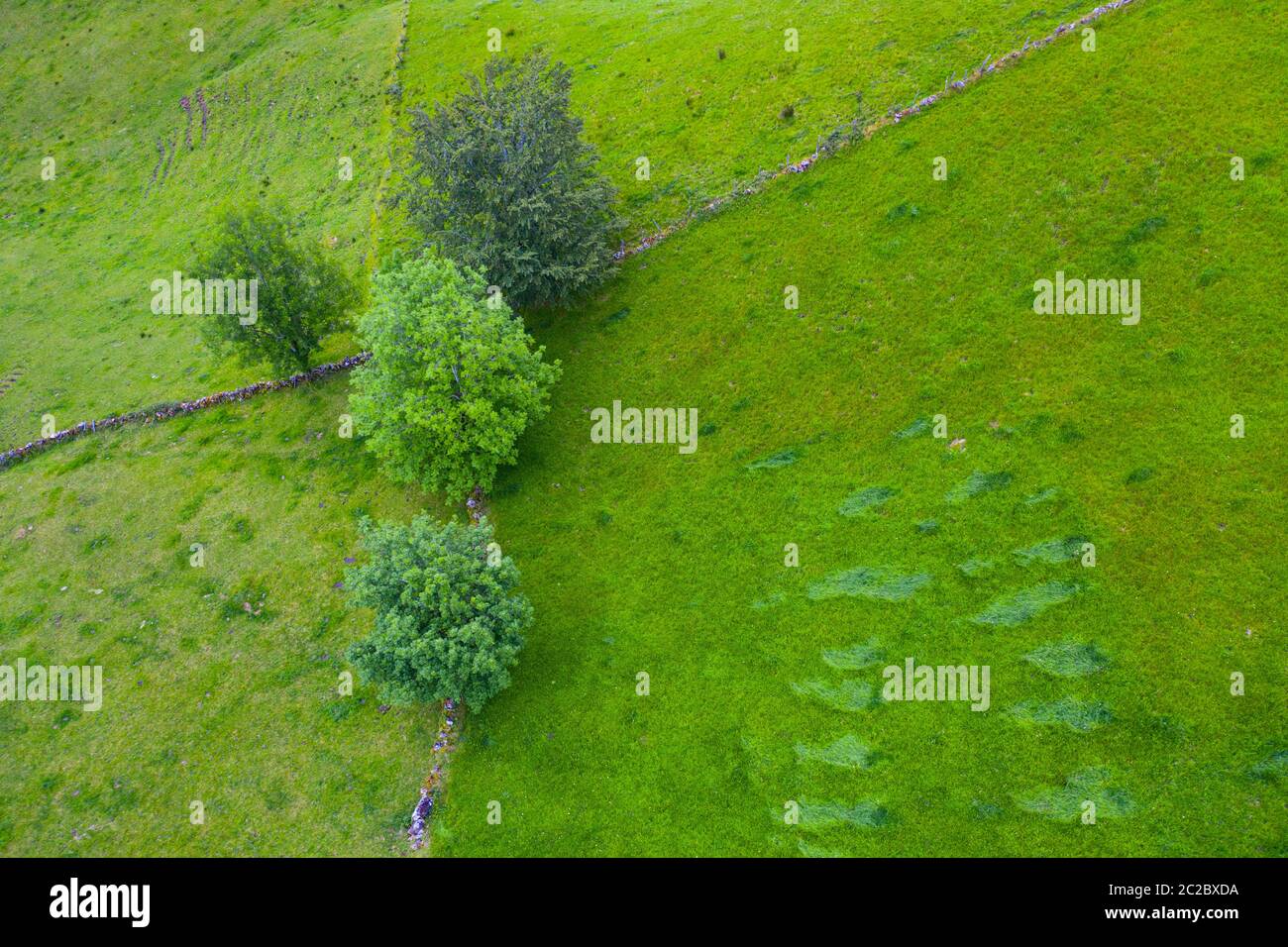 Vue aérienne avec un drone du paysage de printemps des chalets et des prairies de pasiegas dans la vallée de Miera, dans la Communauté autonome de Cantabrie. Espagne, Europe Banque D'Images