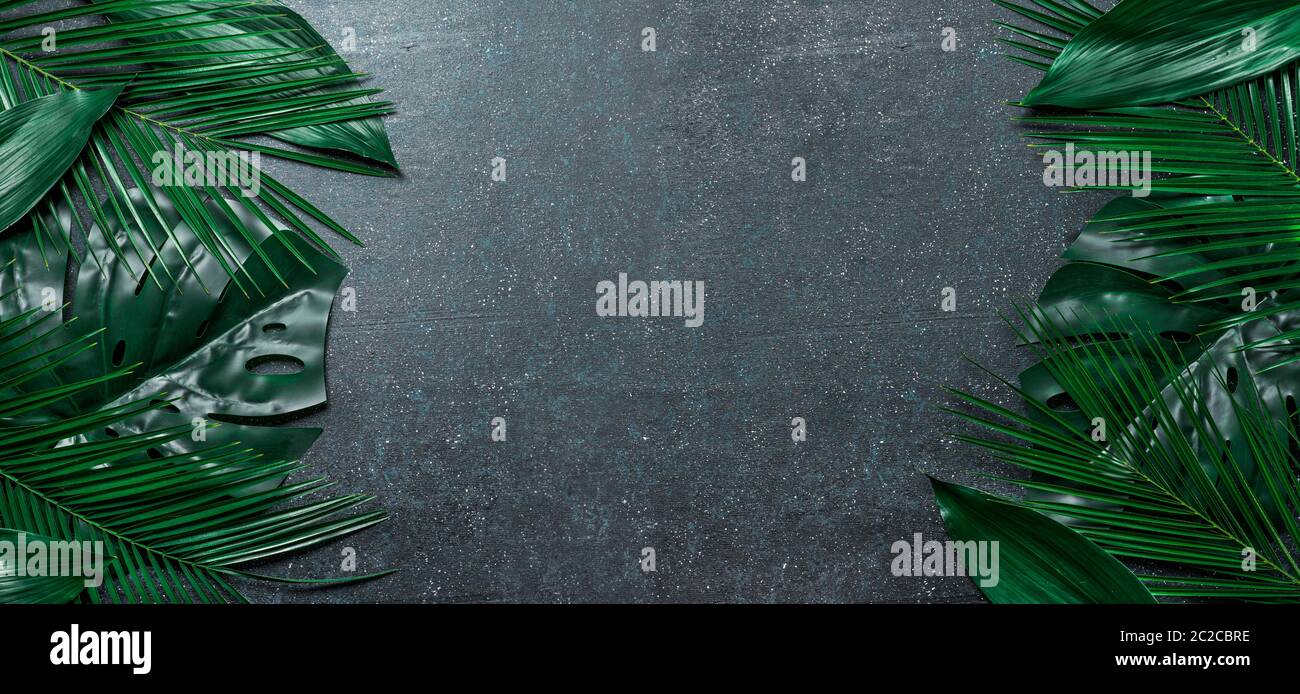 Feuilles tropicales sur fond bleu foncé Banque D'Images