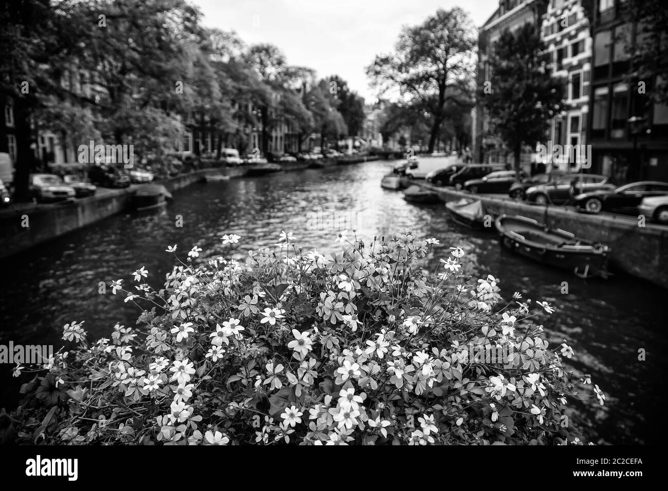 D'un canal à Amsterdam, détail d'une rue typique de la Hollande, le tourisme en Europe Banque D'Images