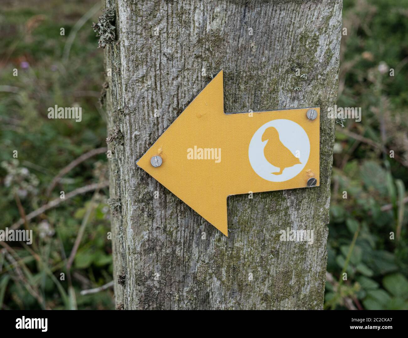 L'île d'Anglesey waymark signe sur le chemin côtier Anglesey Wales UK Banque D'Images