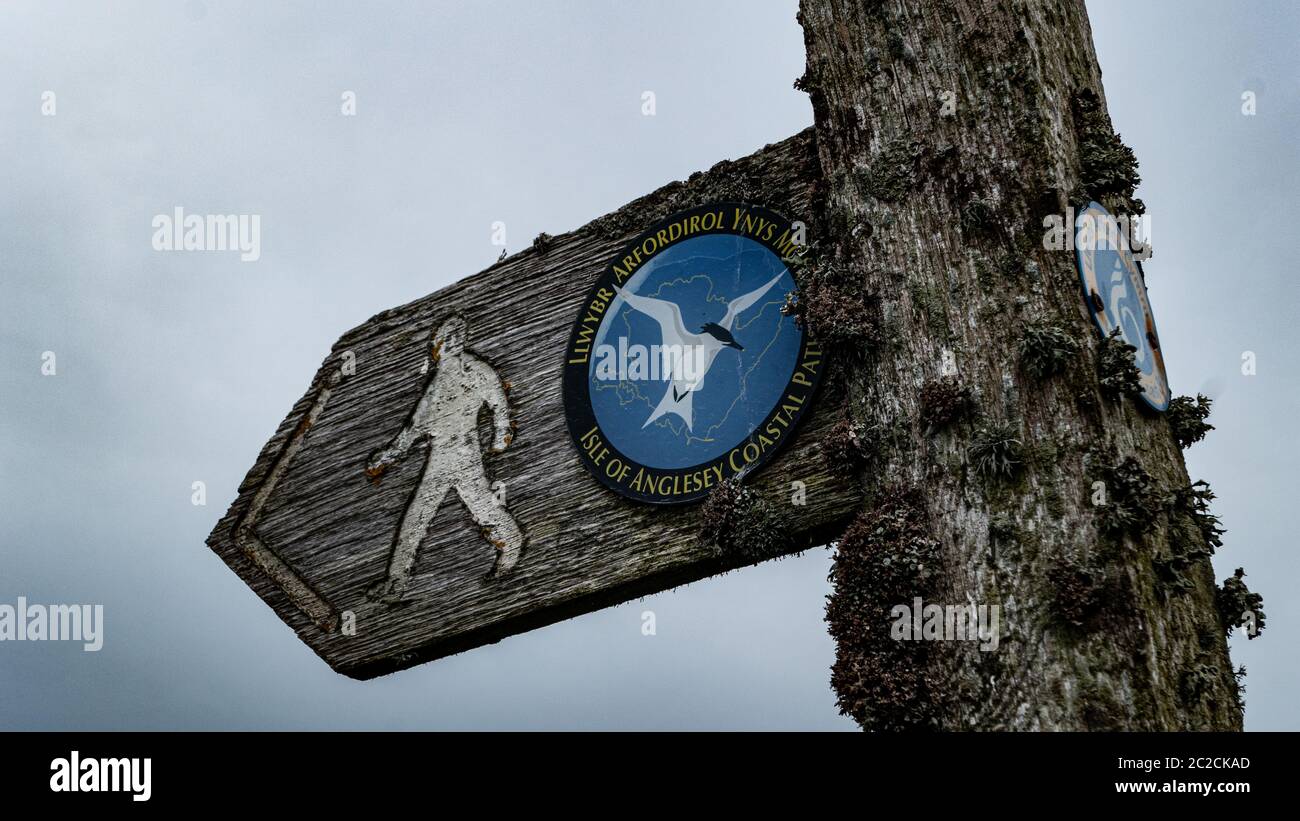 L'île d'Anglesey waymark signe sur le chemin côtier Anglesey Wales UK Banque D'Images