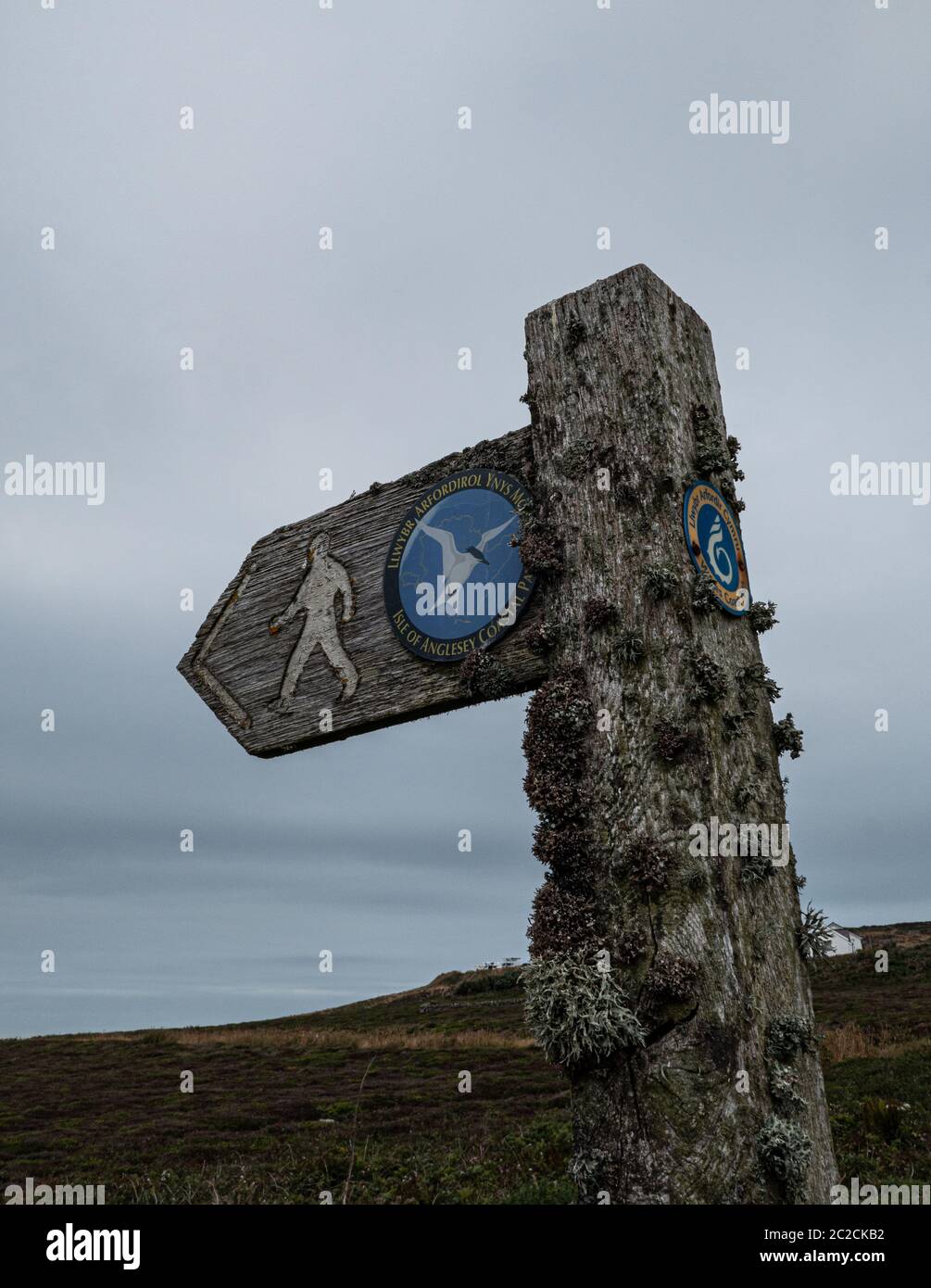 L'île d'Anglesey waymark signe sur le chemin côtier Anglesey Wales UK Banque D'Images