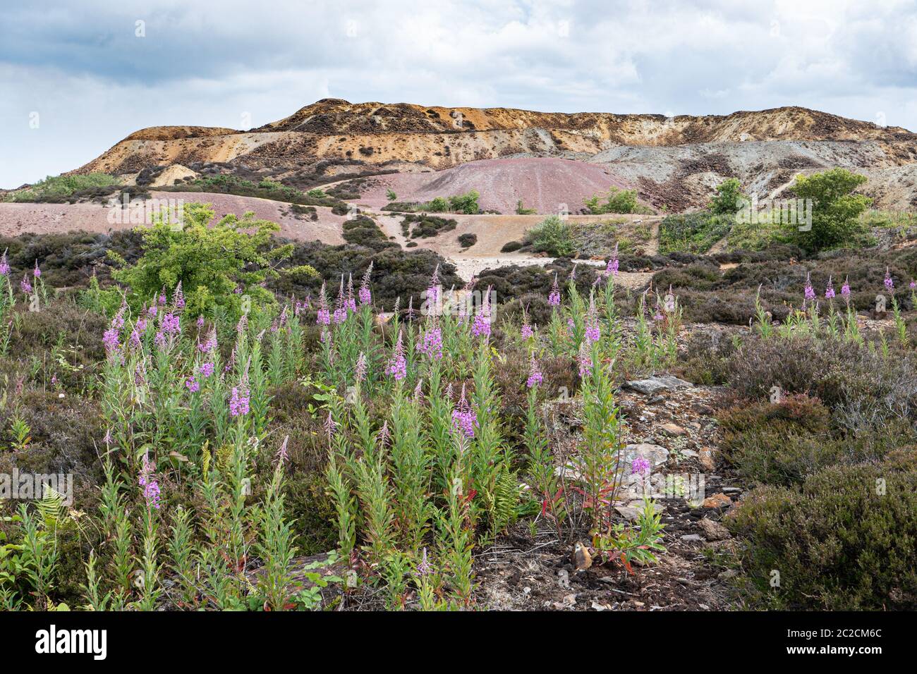 Parys Mountain (Mynydd Parys en gallois) est une mine de cuivre désexploitée située près du vilage d'Amlwch, sur l'île d'Anglesey, dans le nord-ouest du pays de Galles au Royaume-Uni. Banque D'Images