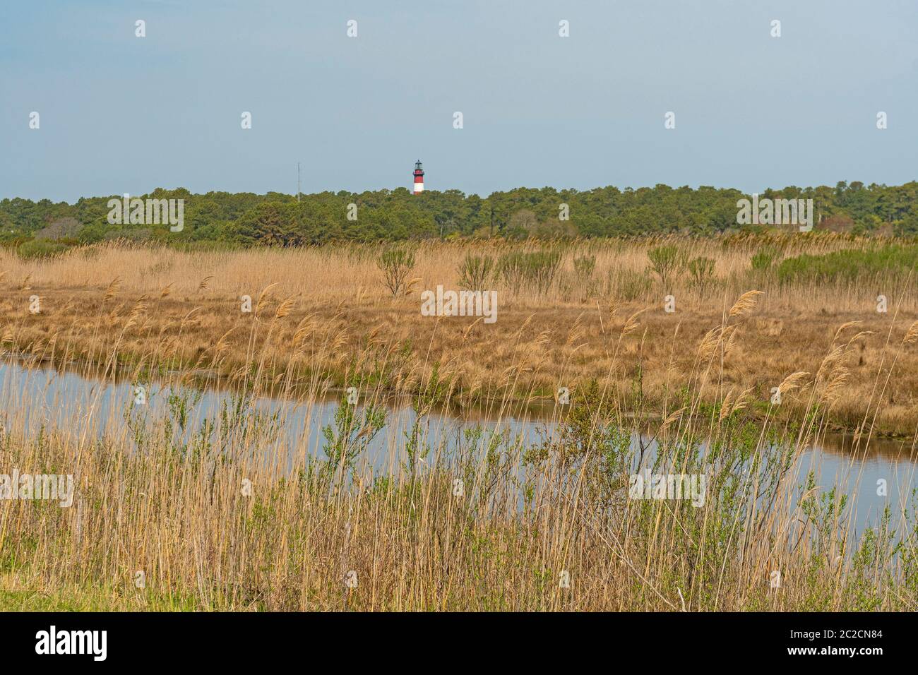 Le phare de l'île Assateague apparaît au-dessus du marais de la réserve naturelle nationale de Chincoteague, en Virginie Banque D'Images