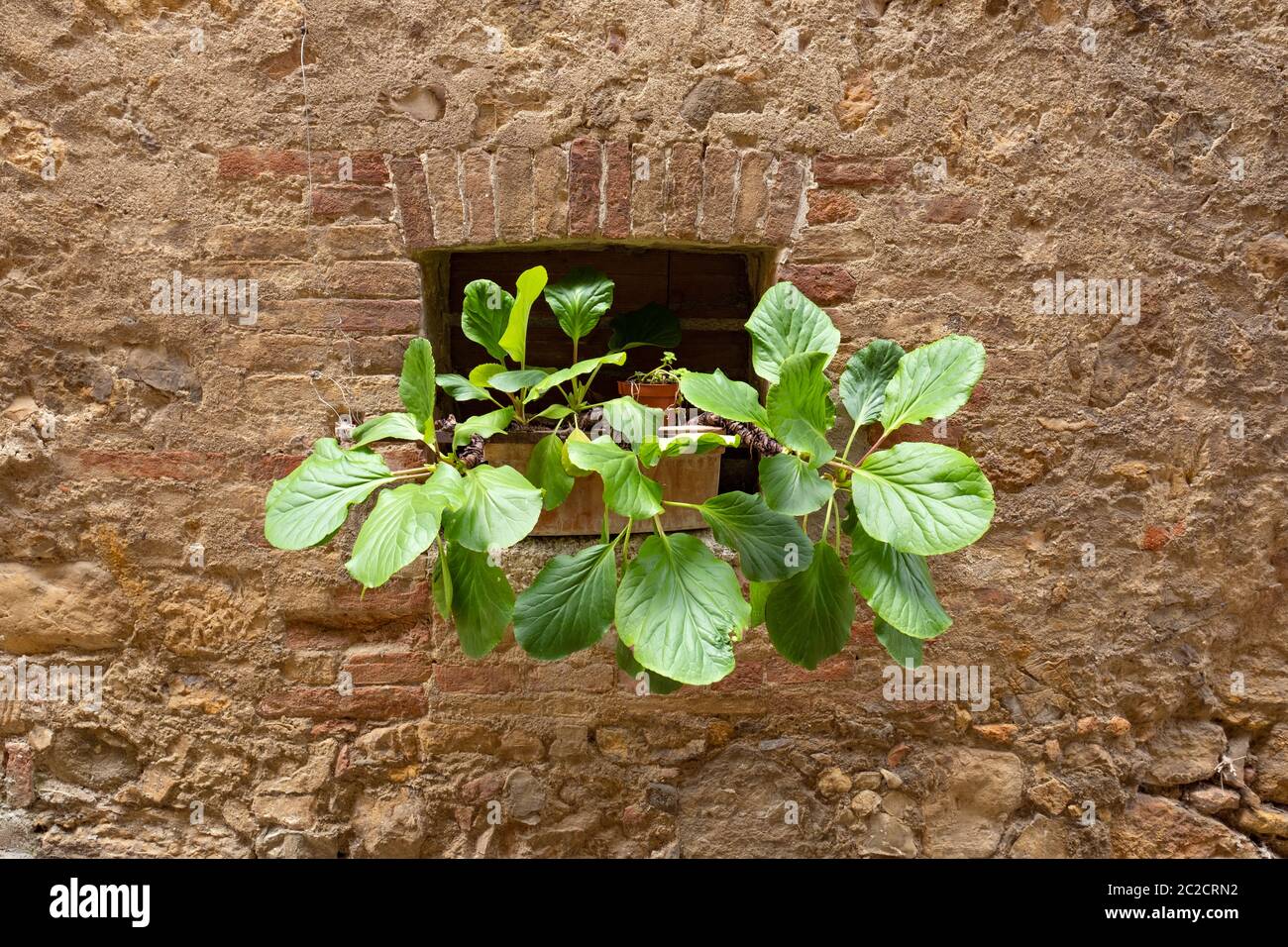 RUES D'UNE PETITE VILLE ITALIENNE, TOSCANE Banque D'Images