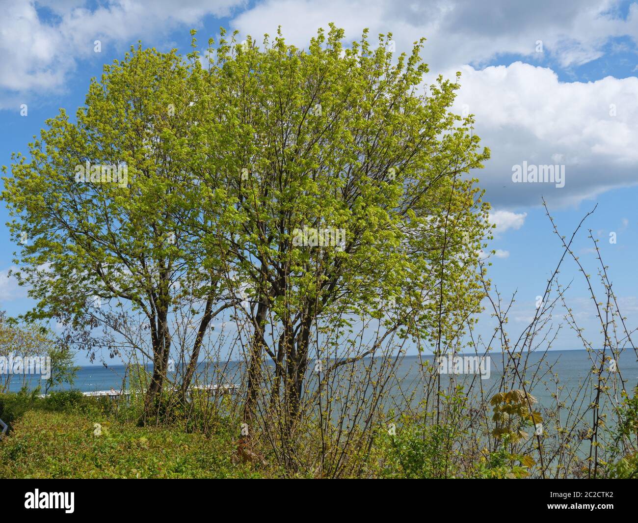 gdansk en pologne et dans la mer baltique Banque D'Images