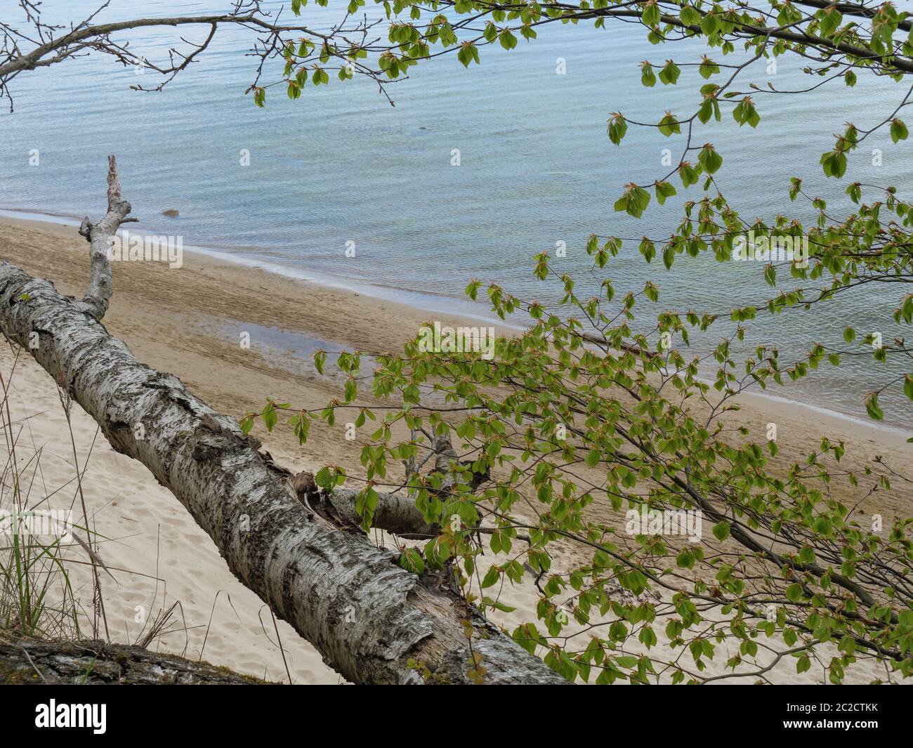 gdansk en pologne et dans la mer baltique Banque D'Images