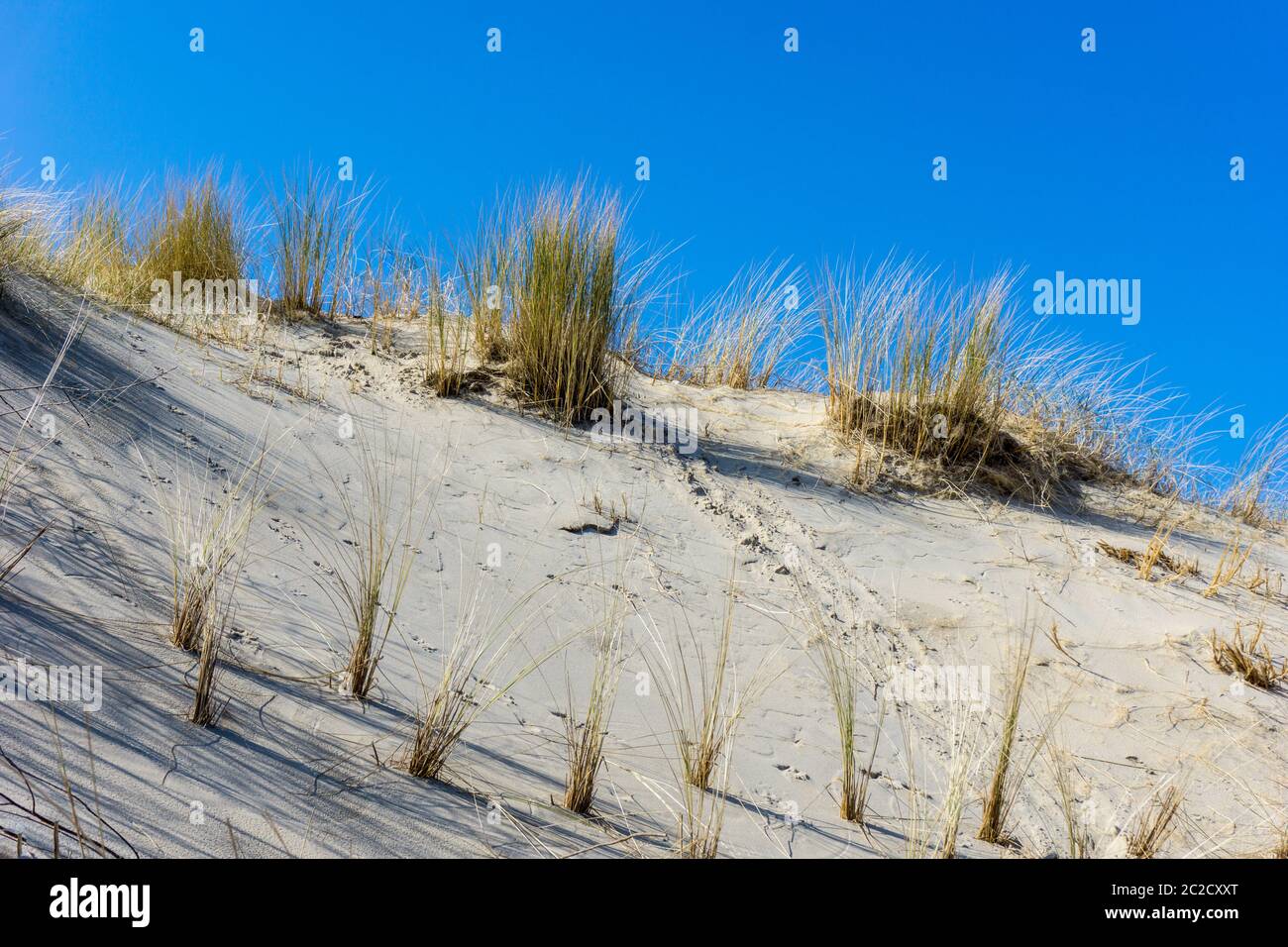 Belles impressions au bord de la mer aux pays-Bas Banque D'Images