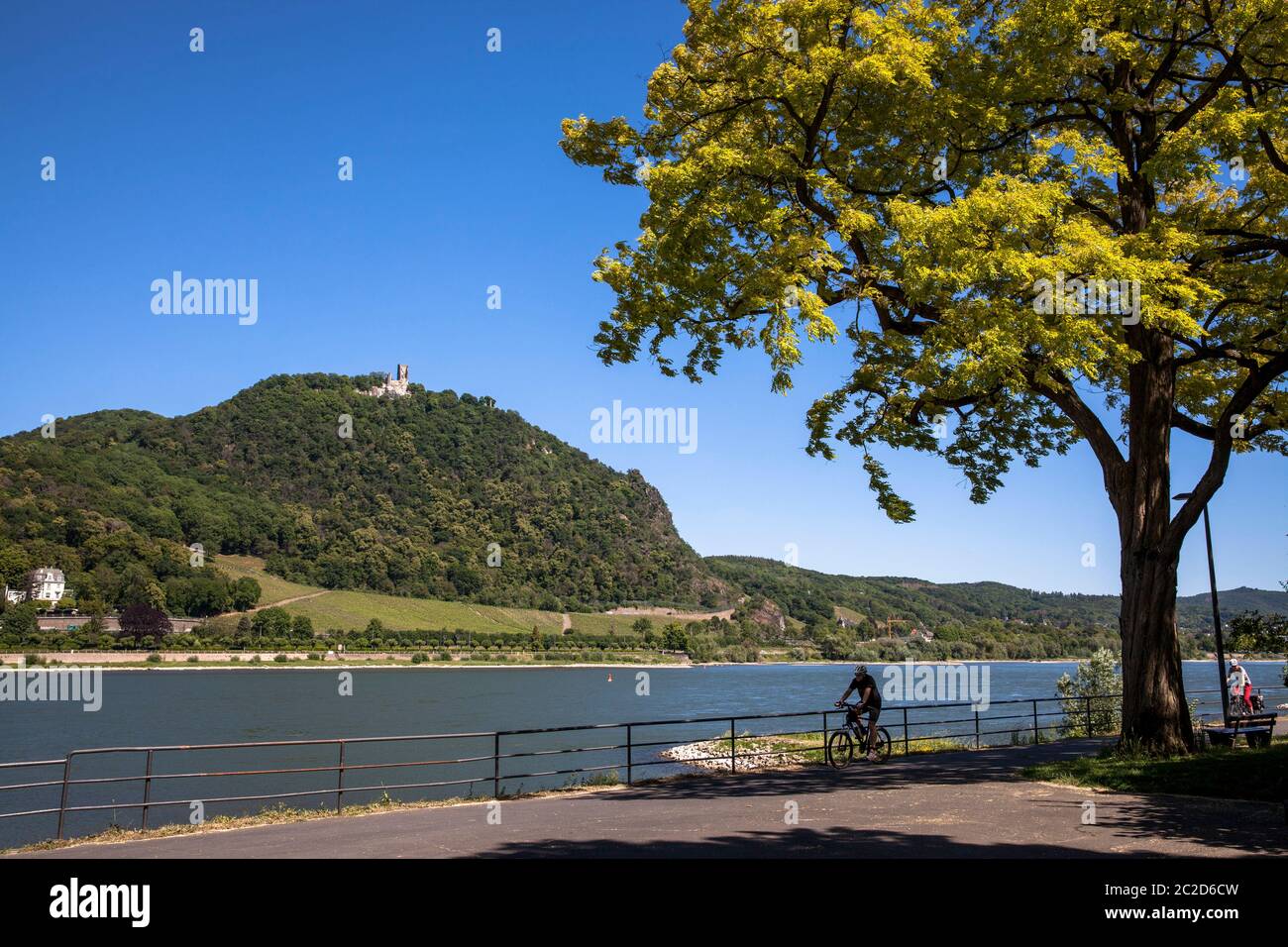 Vue de Bonn-Mehlem à la montagne Drachenfels et le château ruine Drachenburg au-dessus de Koenigswinter, Rhin, Rhénanie-du-Nord-Westphalie, Allemagne. Blic Banque D'Images