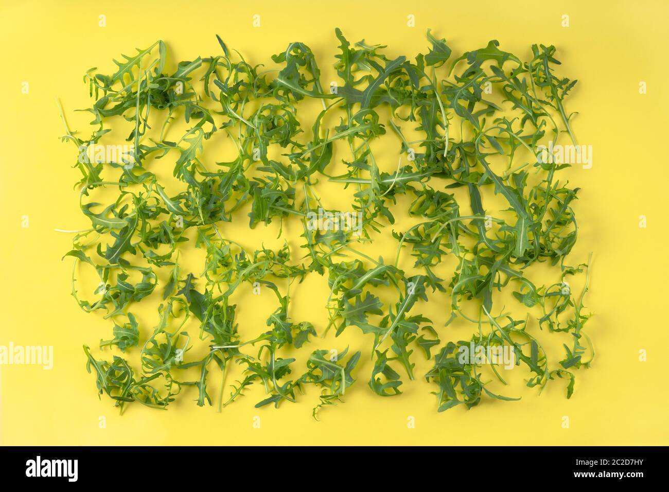 Arugula en forme de rectangle sur fond jaune Banque D'Images