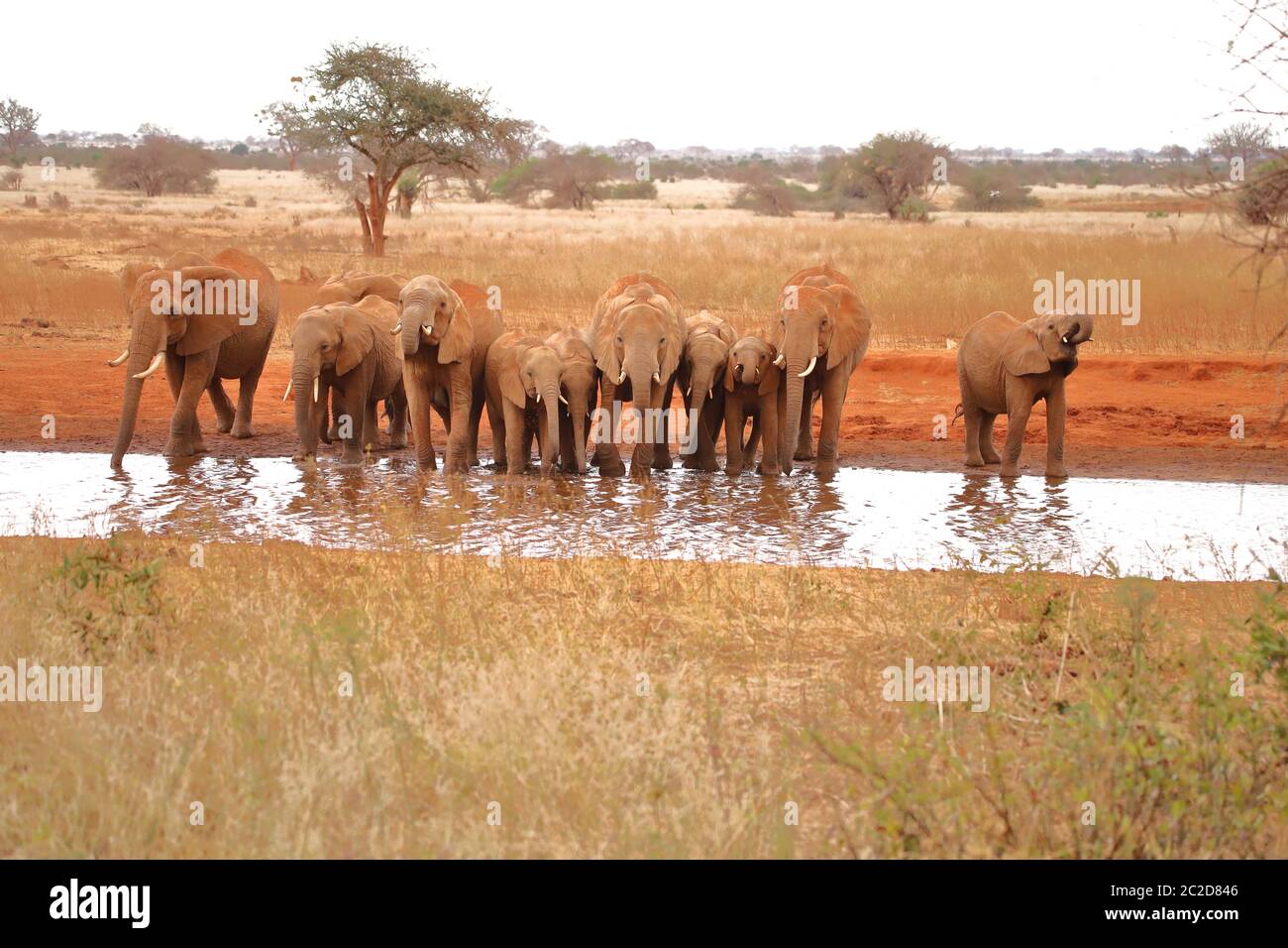 Sanctuaire de jeu Banque de photographies et d’images à haute