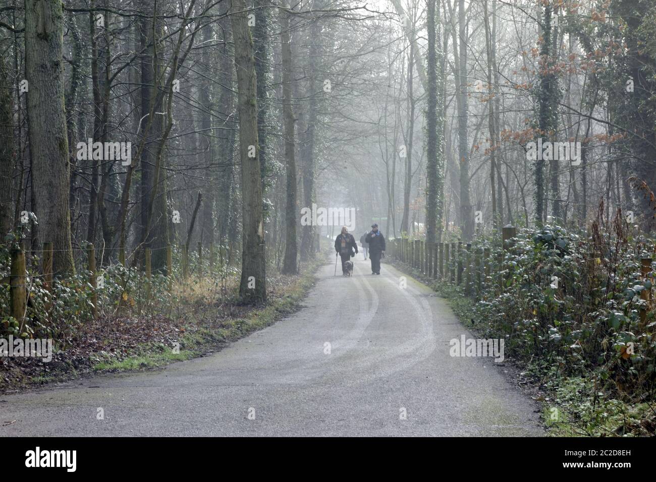 Couple marchant le long d'un sentier un matin brumeux, St Fagans National Museum of History/Amgueddfa Werin Cymru, Cardiff, South Wales, Royaume-Uni. Banque D'Images