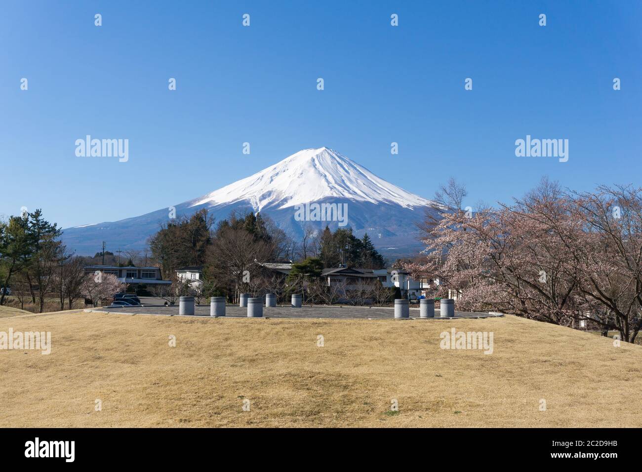 Les rives du nord de Kawaguchiko où les cerisiers sont plantés pendant 1,2 km le long du lac et la Pagode de Chureito sont les vues les plus pittoresques peuvent être capturées c Banque D'Images