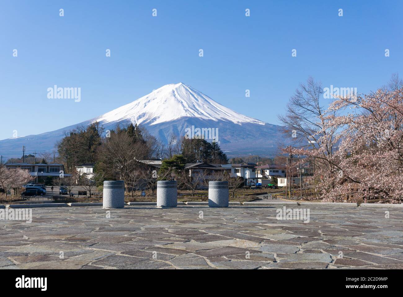 Les rives du nord de Kawaguchiko où les cerisiers sont plantés pendant 1,2 km le long du lac et la Pagode de Chureito sont les vues les plus pittoresques peuvent être capturées c Banque D'Images