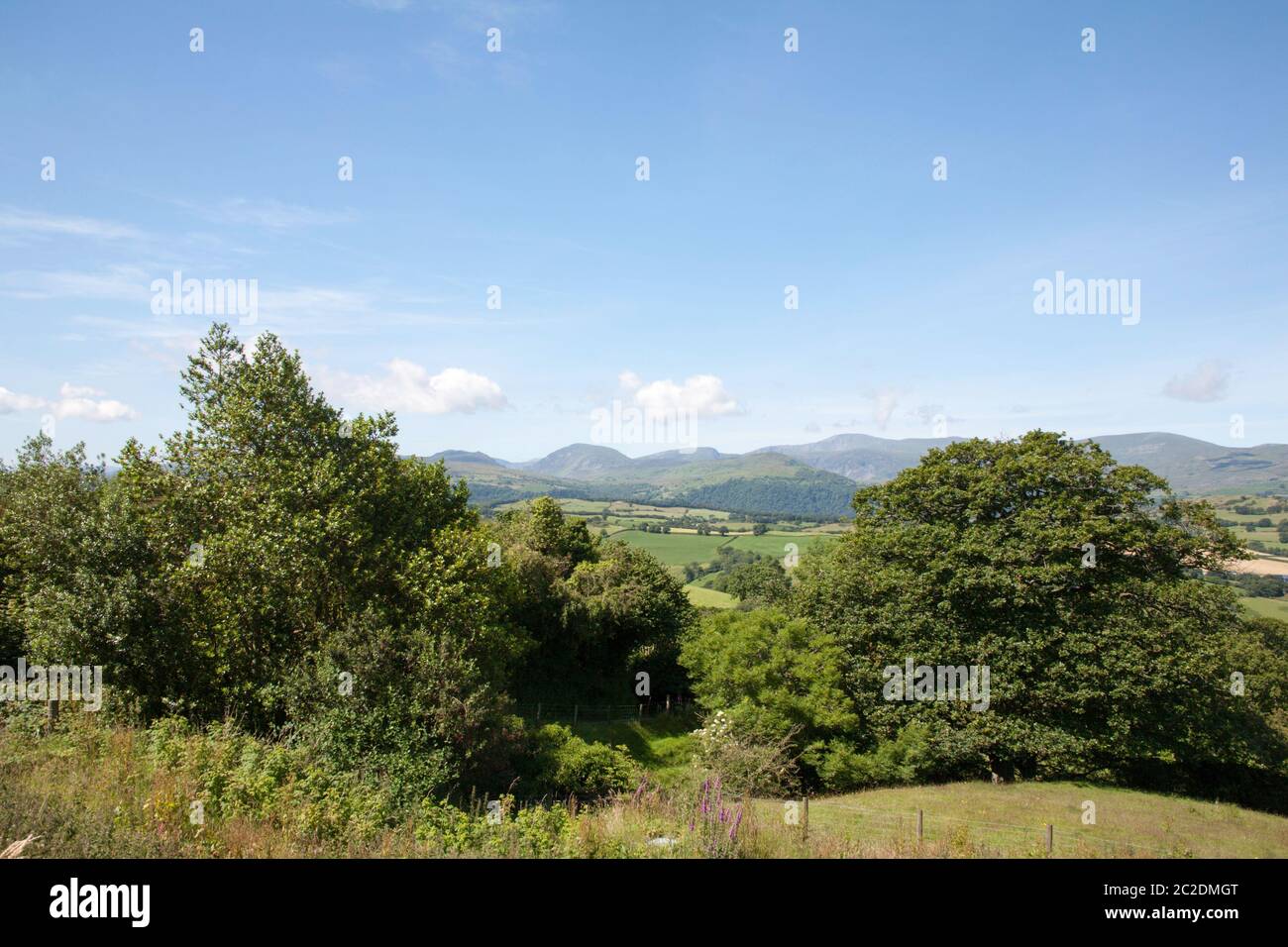 Moel Siabod et les montagnes le long de la vallée de Conwy Snowdonia un matin d'été près du village d'Eglwysbach Conwy Nord du pays de Galles Banque D'Images
