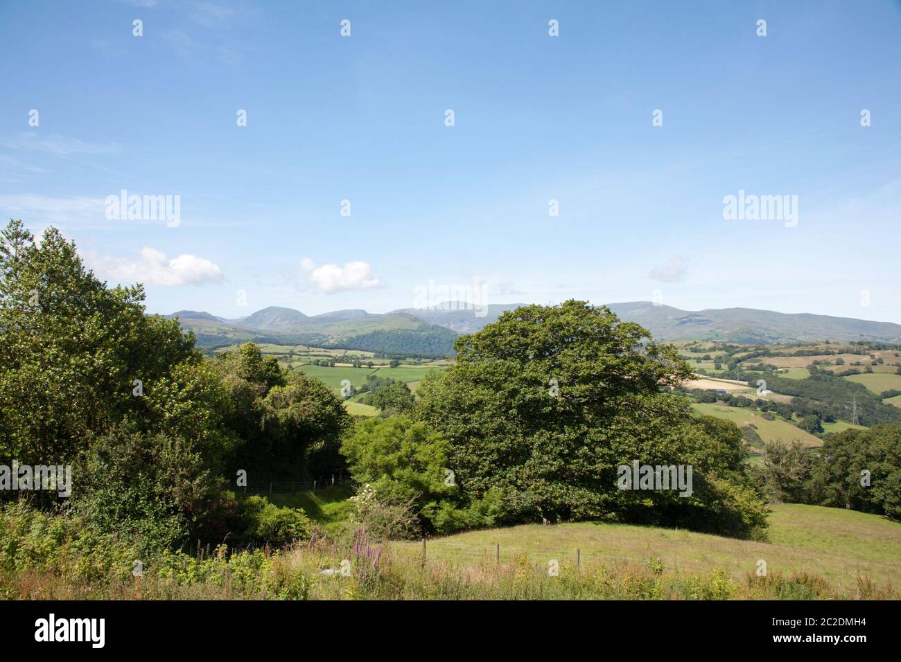 Moel Siabod et les montagnes le long de la vallée de Conwy Snowdonia un matin d'été près du village d'Eglwysbach Conwy Nord du pays de Galles Banque D'Images