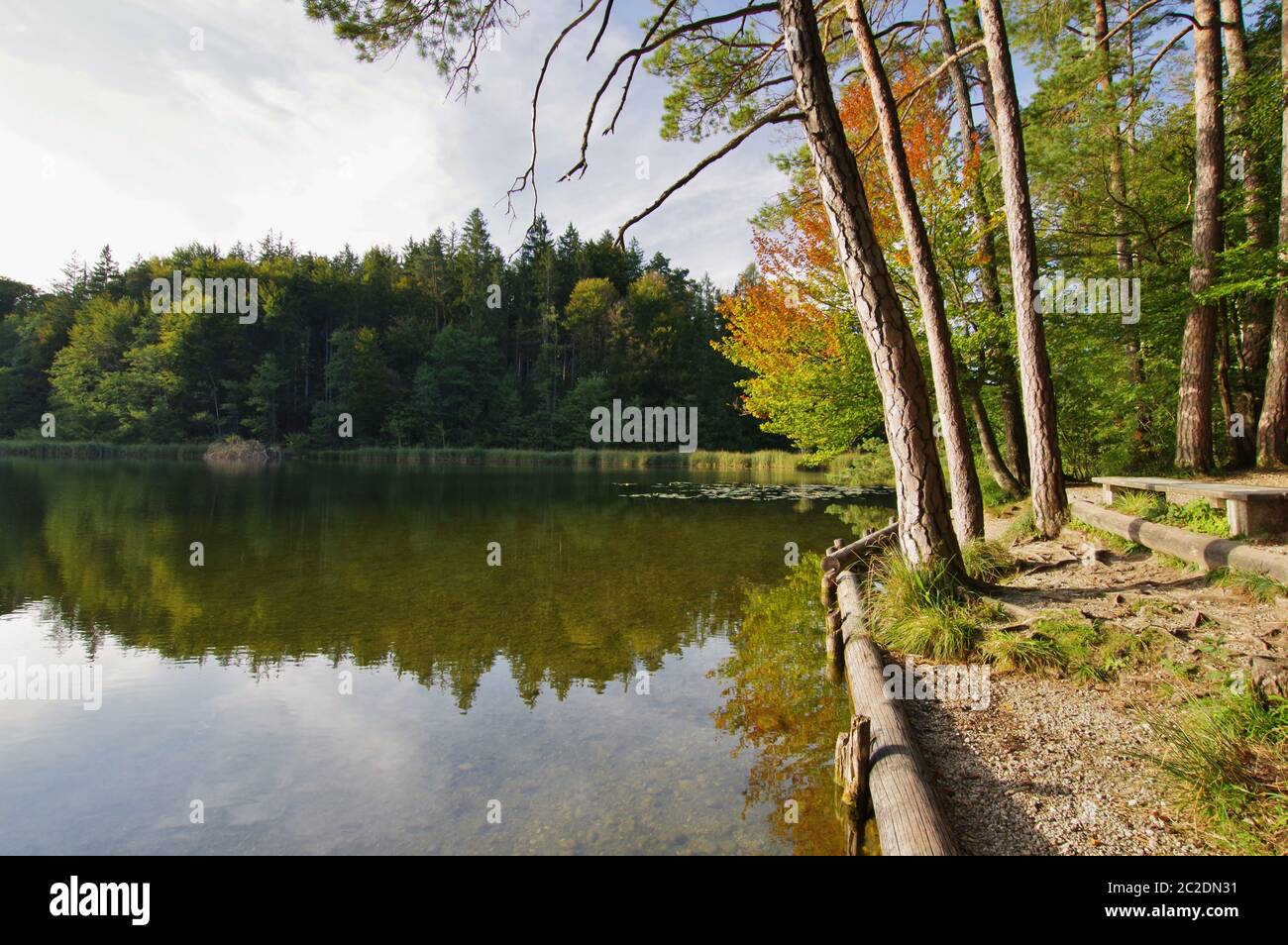 Kesselsee, Eggstà¤tt, Chiemgau, haute-Bavière, Allemagne Banque D'Images