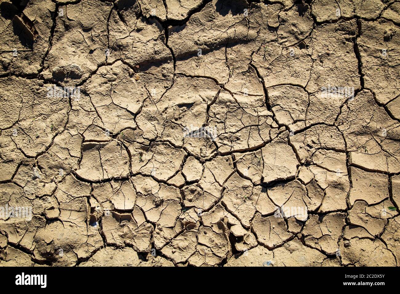 en raison du manque de pluie, la terre s'est séchée avec des fissures, le changement climatique Banque D'Images
