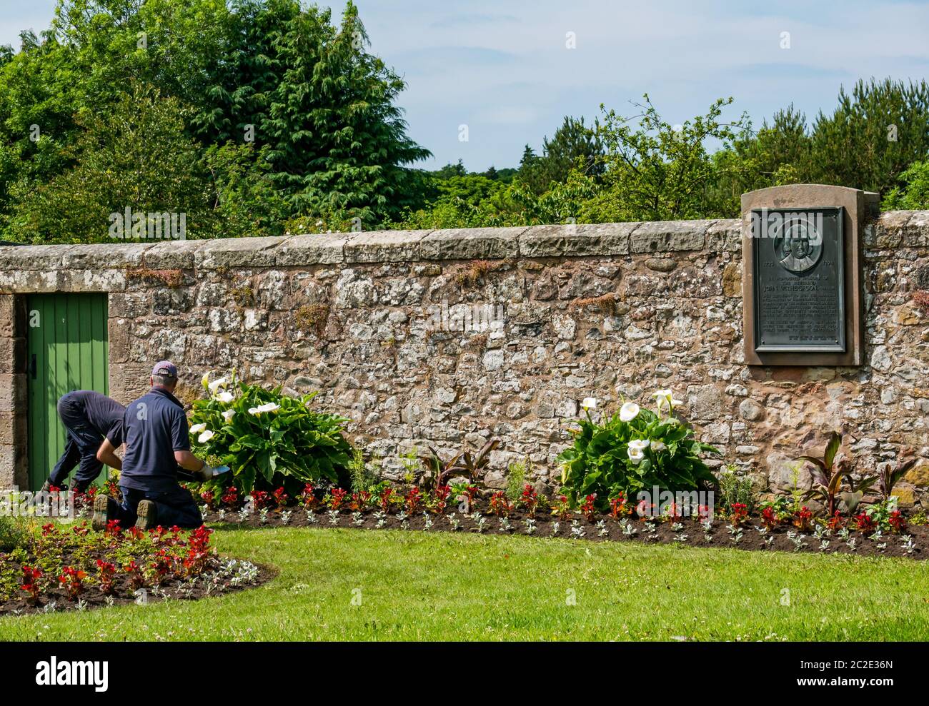 Gifford, East Lothian, Écosse, Royaume-Uni, 17 juin 2020. Météo au Royaume-Uni : le soleil revient dans le comté. Les jardiniers du East Lothian Council ont mis la touche finale à une exposition de fleurs à côté d'une plaque de bronze commémorant le village comme lieu de naissance de John Witherspoon, l'un des Pères fondateurs des États-Unis Banque D'Images