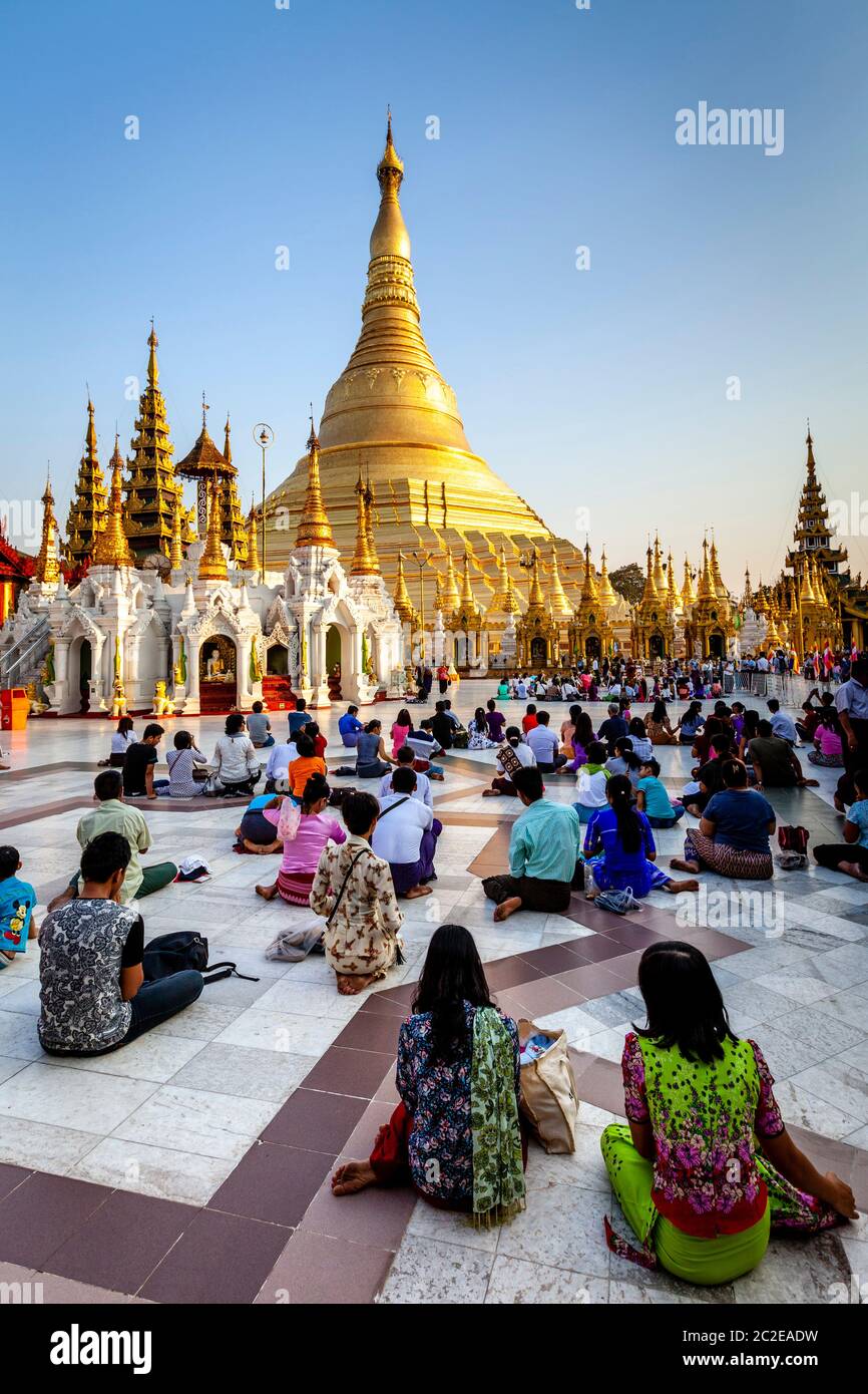 Les visiteurs bouddhistes priant à la Pagode Shwedagon, Yangon, Myanmar. Banque D'Images