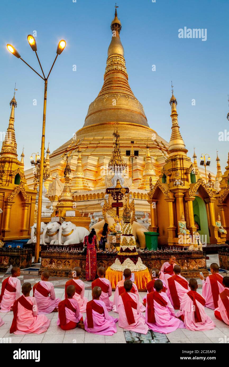 Un groupe de Thilashin (novice Nuns) priant à la Pagode Shwedagon, Yangon, Myanmar. Banque D'Images