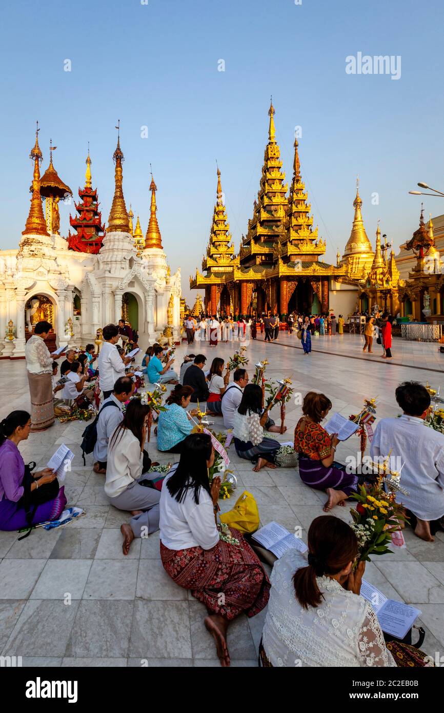 Le peuple bouddhiste priant à la Pagode Shwedagon, Yangon, Myanmar. Banque D'Images