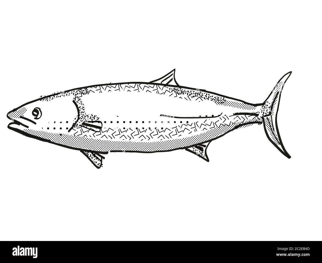 Retro cartoon style dessin d'un thazard, originaire de la Nouvelle-Zélande la vie marine vu de côté des espèces isolées sur fond blanc en noir et blanc Banque D'Images