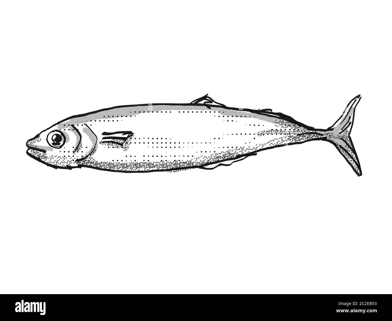 Retro cartoon style dessin d'un Koheru, originaire de la Nouvelle-Zélande la vie marine vu de côté des espèces isolées sur fond blanc en noir et whit Banque D'Images