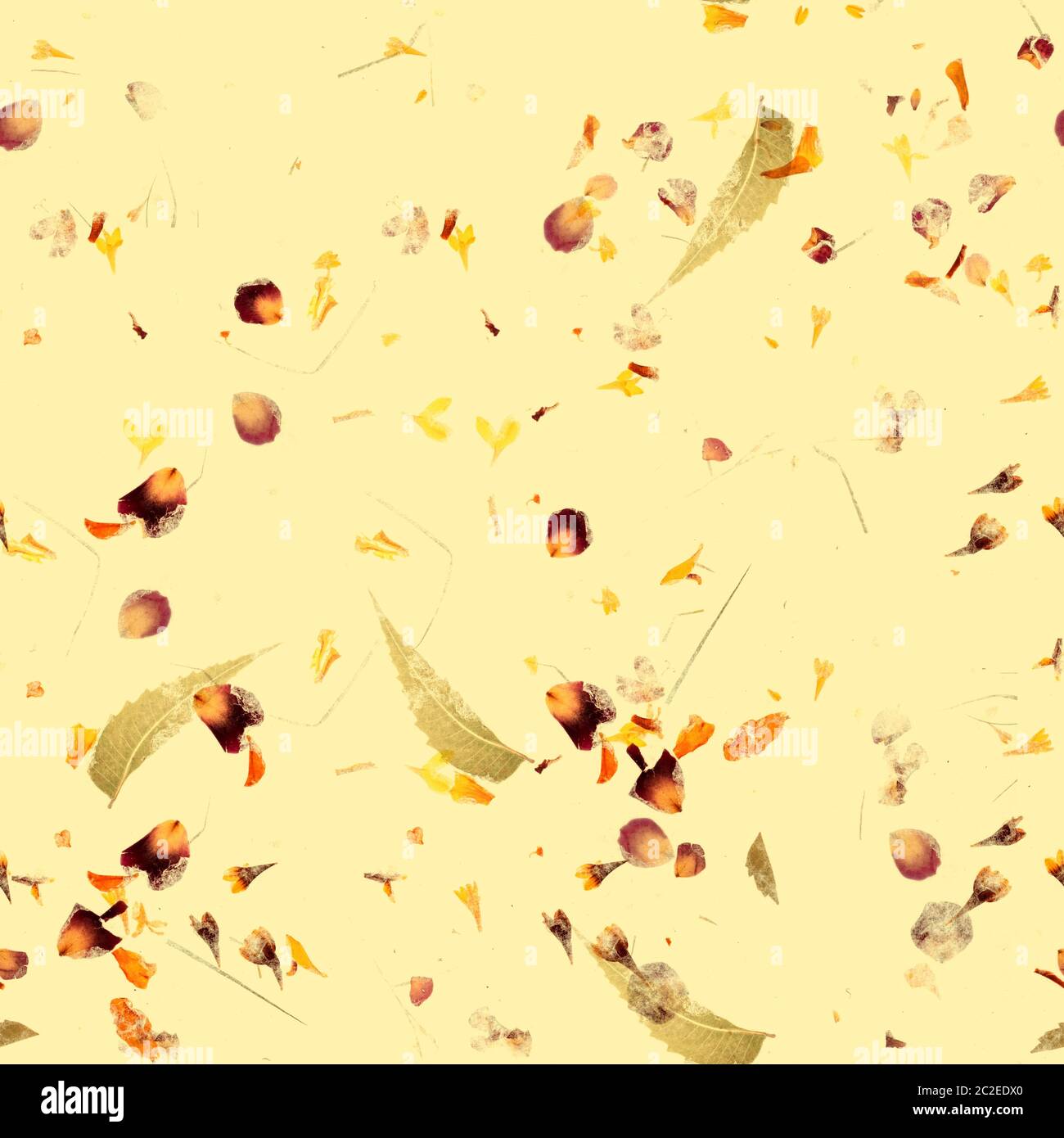 Motif automnal sans coutures. Un tirage répété avec des feuilles et des pétales secs sur un fond jaune pâle Banque D'Images