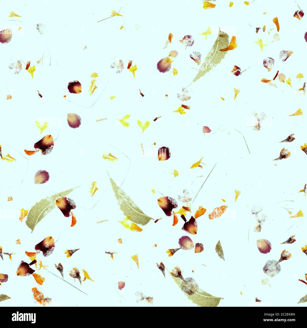 L'automne sans motif. Une impression de répétition avec des feuilles sèches et les pétales sur un fond bleu sarcelle Banque D'Images