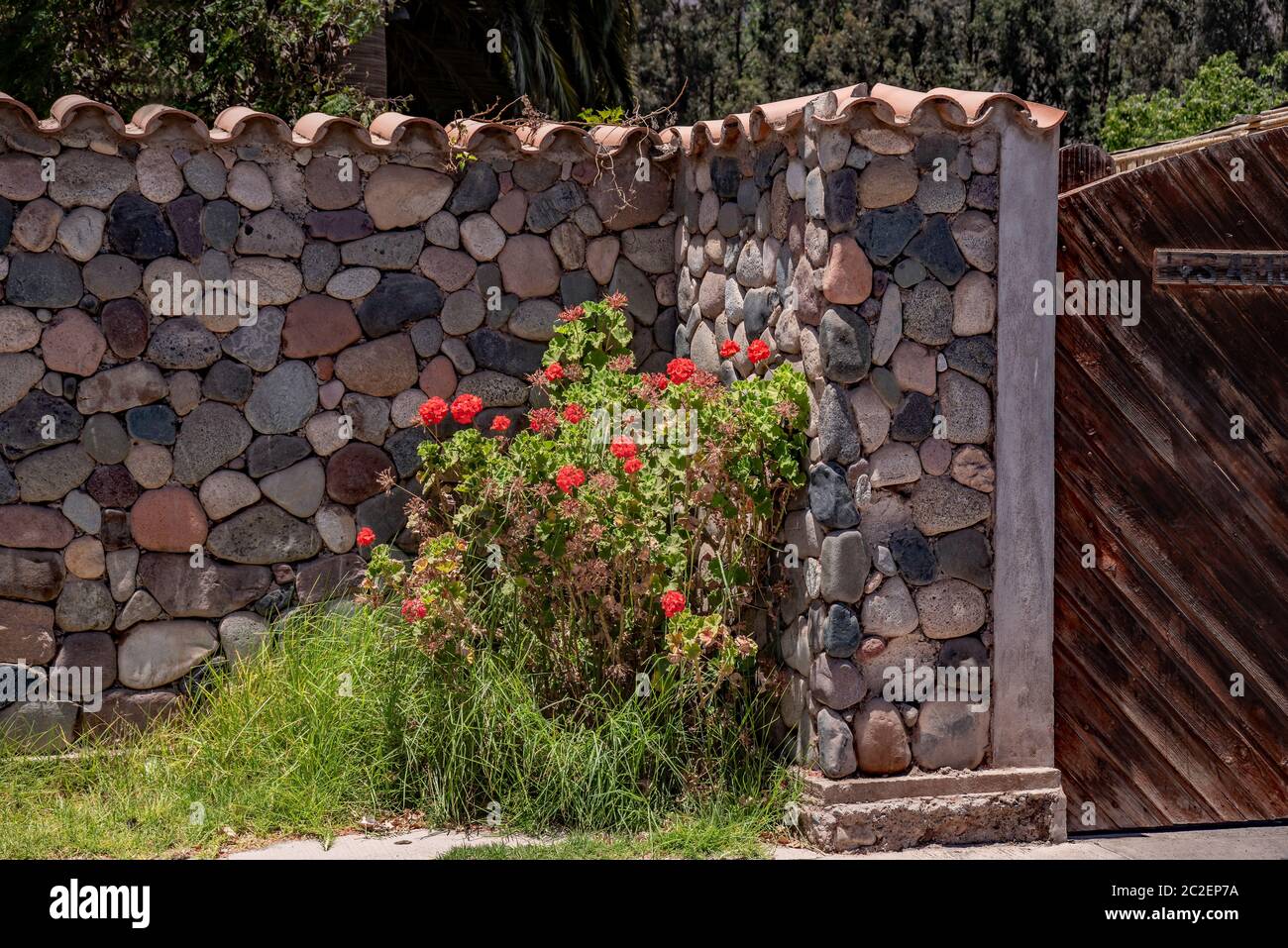 Une autre brique dans le mur Banque D'Images