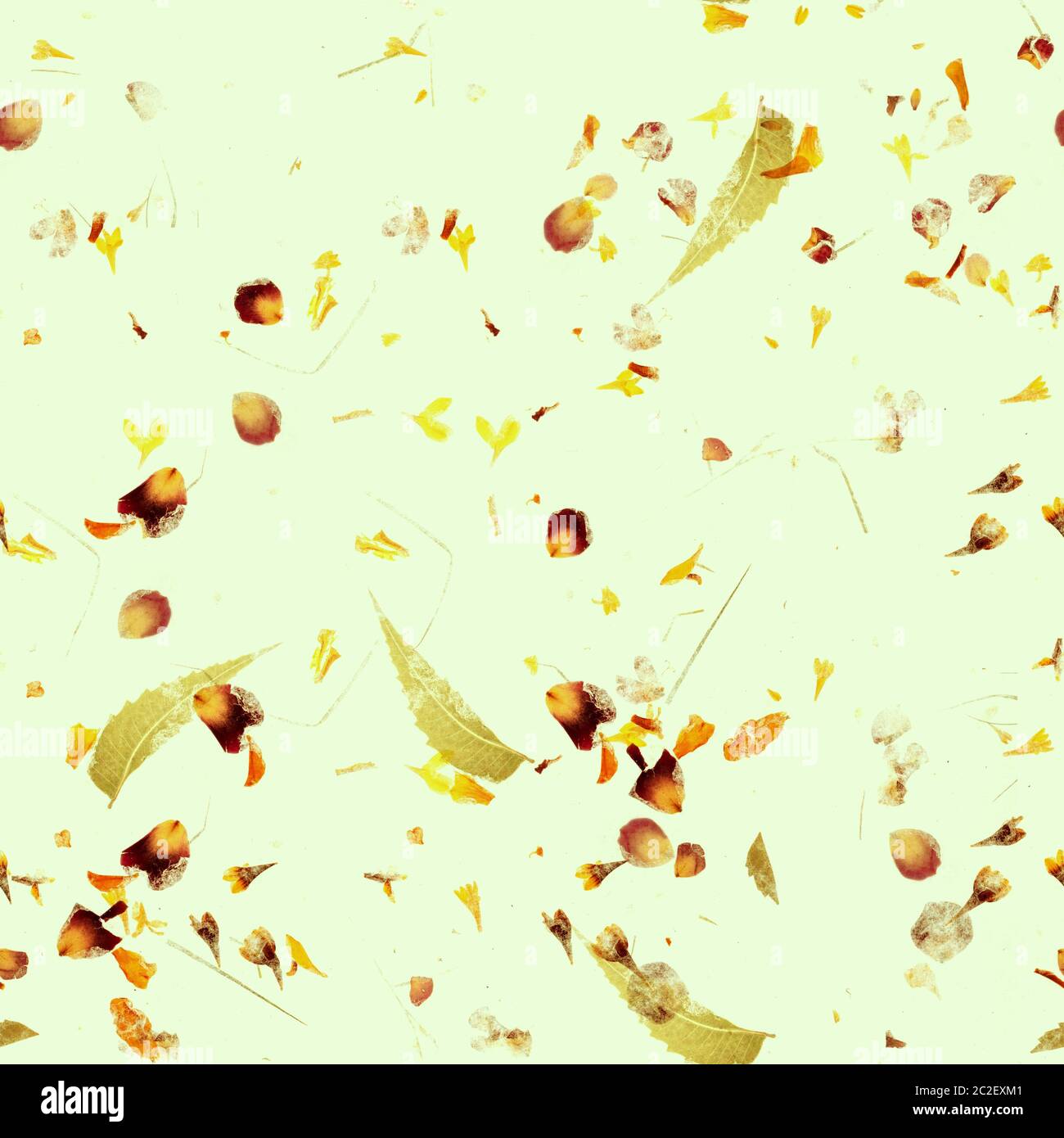 L'automne sans motif. Une impression de répétition avec des feuilles sèches et les pétales sur un fond vert clair Banque D'Images