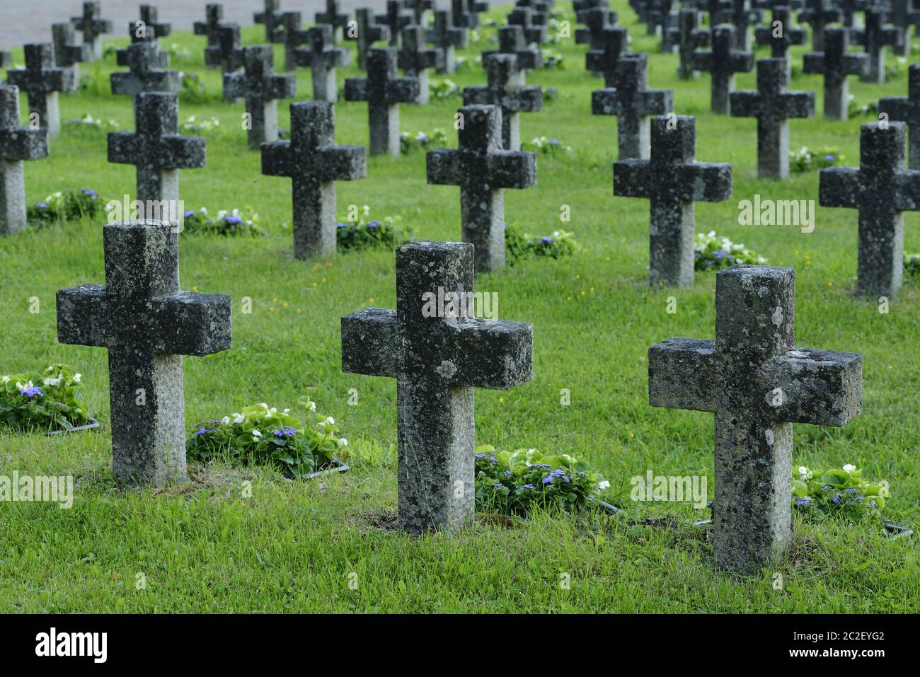 des rangées de croix de pierre dans un cimetière militaire Banque D'Images