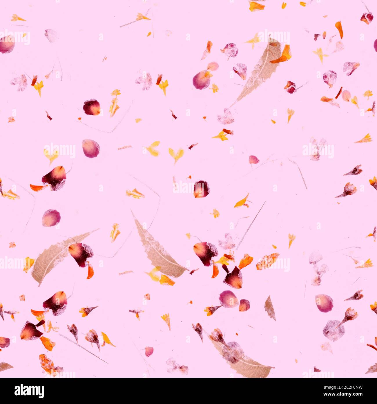 L'automne sans motif. Une impression de répétition avec des feuilles sèches et les pétales sur un fond rose Banque D'Images
